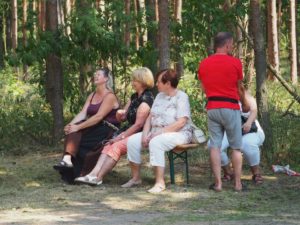 Schattiger Platz im Wald